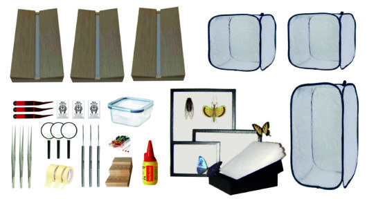 Set pro chov a preparaci hmyzu