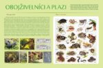 Obojživelníci a plazi