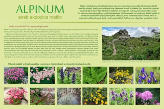 Alpinum-skalka