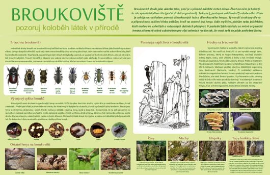 Broukoviště