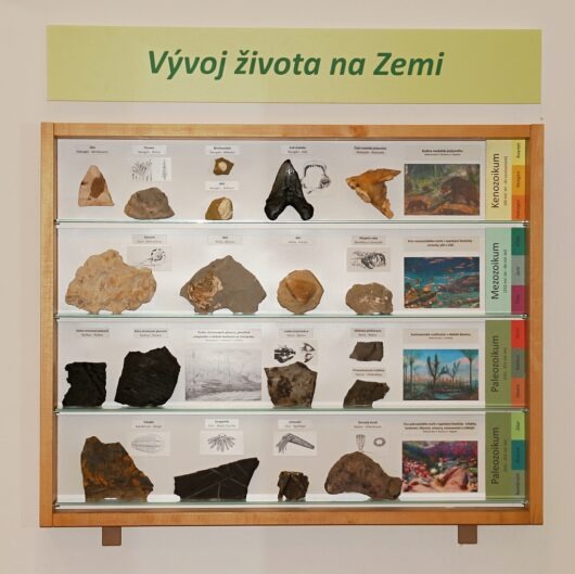 VELKÁ VITRÍNA VÝVOJ ŽIVOTA NA ZEMI