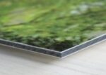 Jehličnatý les